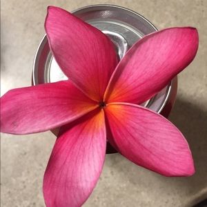 Meet your Posher, Robyn